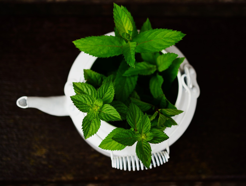 Peppermint tea. Peppermint tea for PCOS