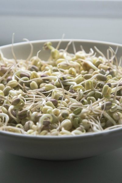 bowl of sprouted beans the benefits of sprouted seeds