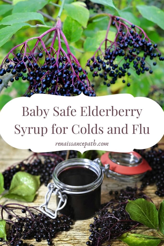Baby Safe Elderberry for Colds and Flu