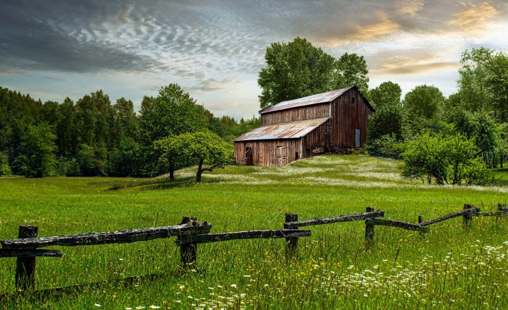 Barn in a meadow. Homesteading for Beginners
