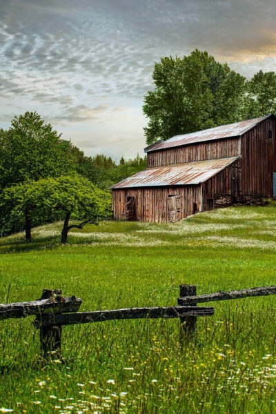 Barn in a meadow. Homesteading for Beginners