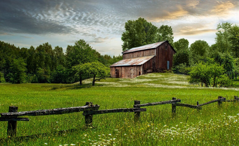 Homesteading - A Beginners Guide