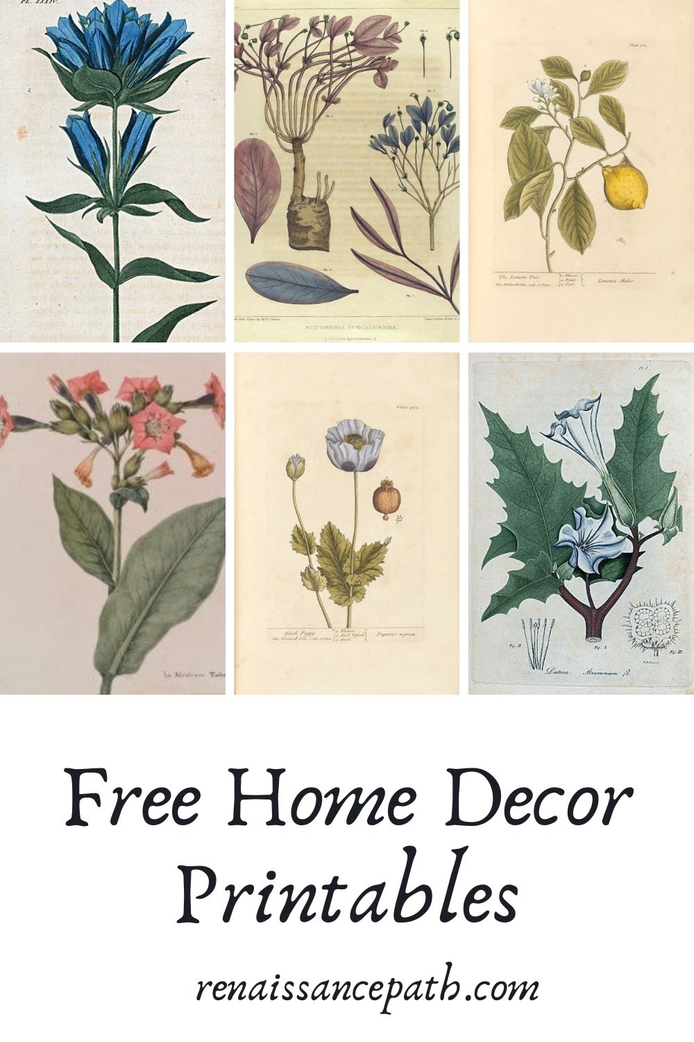Beautiful Free Home Decor Printables