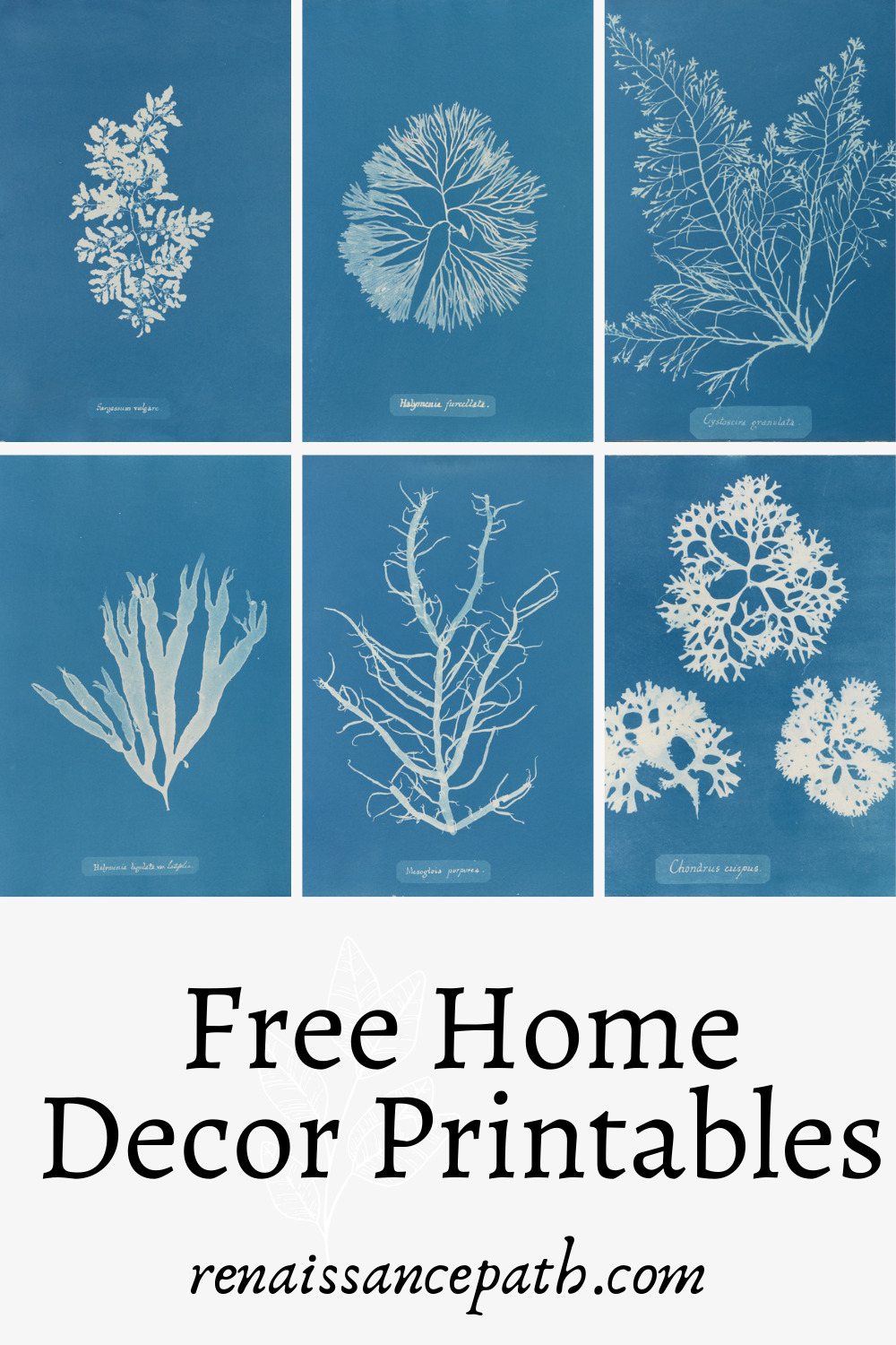 beautiful-free-home-decor-printables