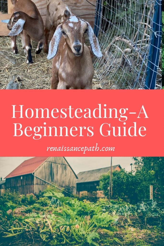 Homesteading - A Beginners Guide