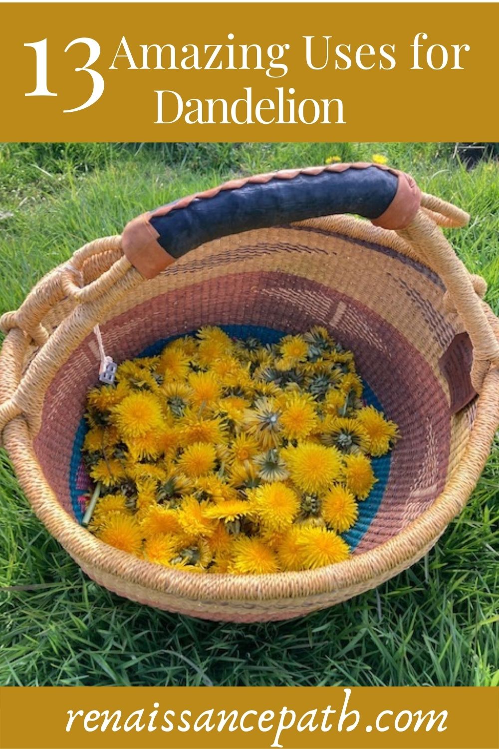 13 Amazing Uses For Dandelions