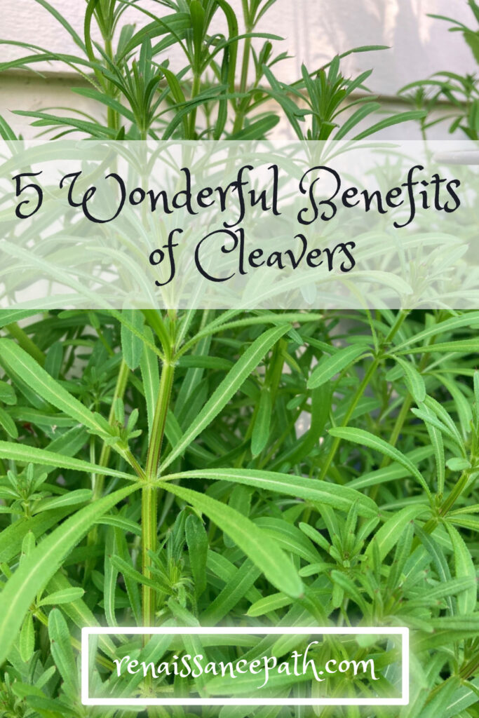 5 Wonderful Benefits of Cleaver