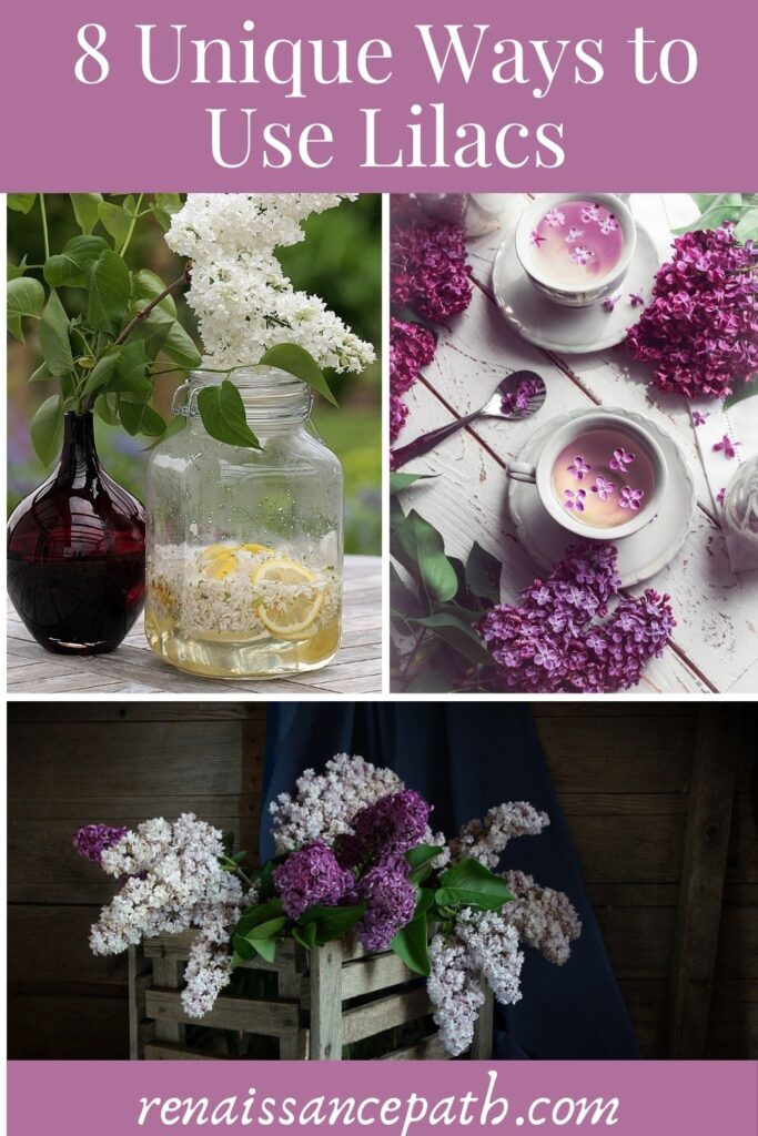 8 Unique Ways to Use Lilacs