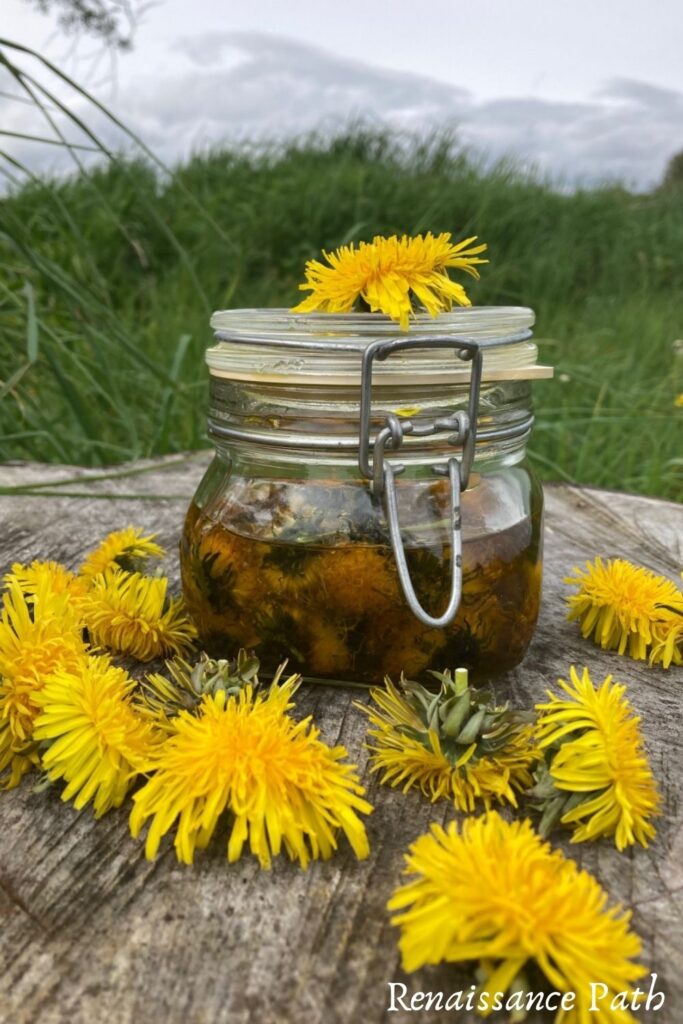 Easy Dandelion Oil Recipe & 10 Ways To Use It