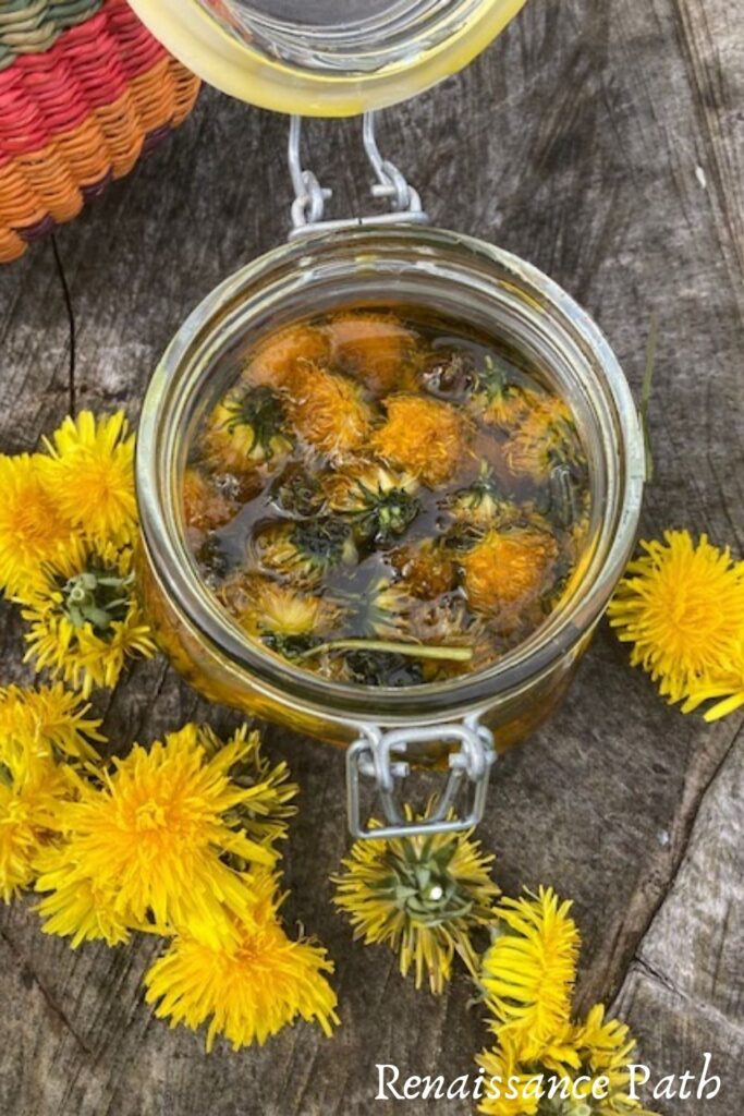 Easy Dandelion Oil Recipe & 10 Ways To Use It