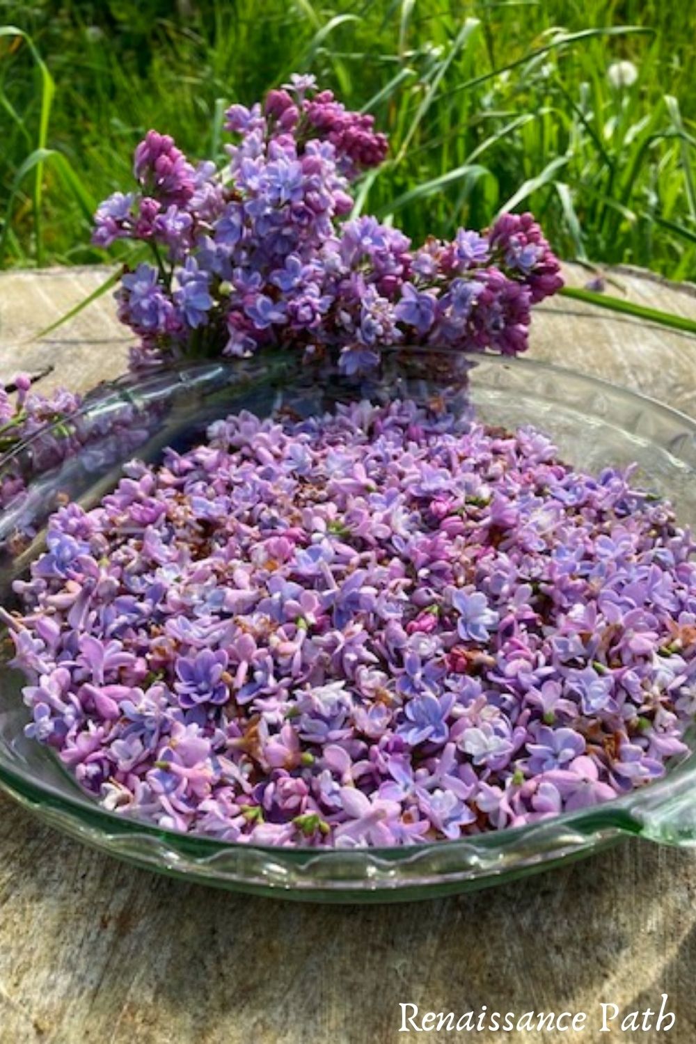 Diy cheap lilac perfume