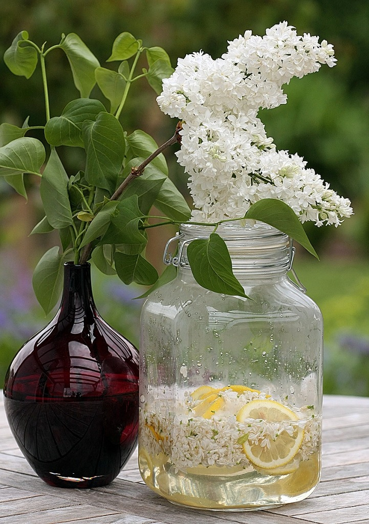 8 Unique Ways to Use Lilacs