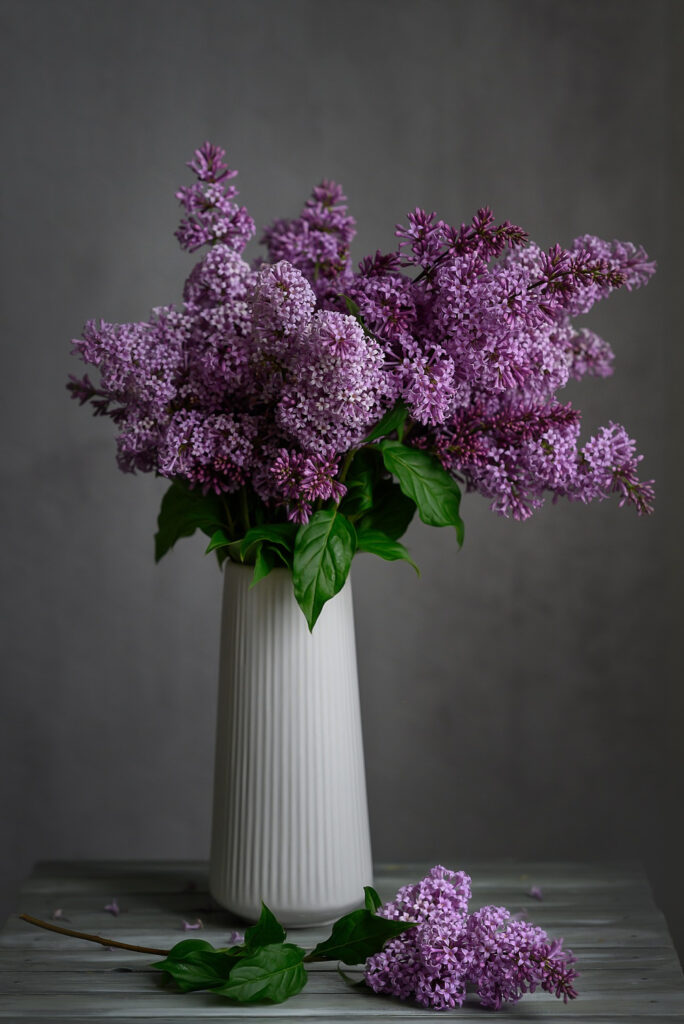 8 Unique Ways to Use Lilacs