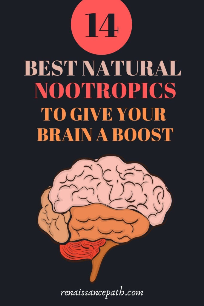 14 Best Natural Nootropics to Give Your Brain a Boost